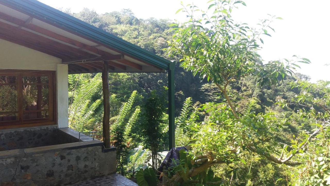 Artist Cottage 하푸탈레 외부 사진
