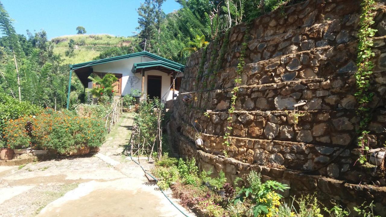 Artist Cottage 하푸탈레 외부 사진