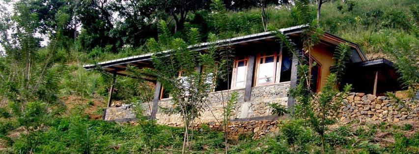 Artist Cottage 하푸탈레 외부 사진