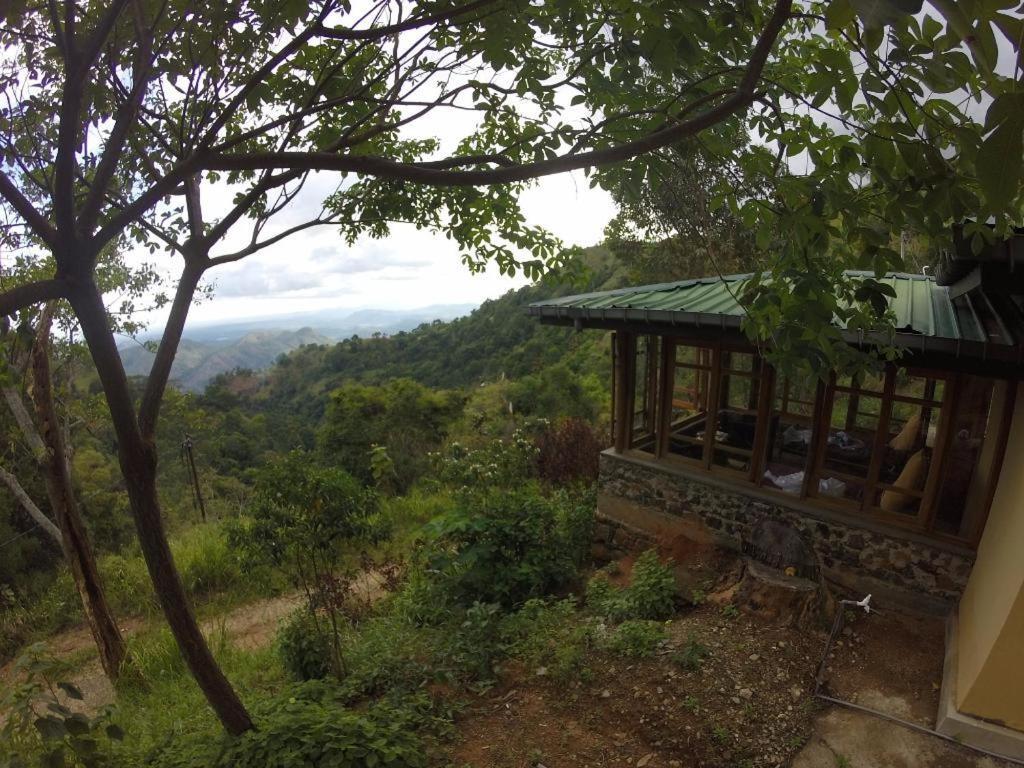 Artist Cottage 하푸탈레 외부 사진